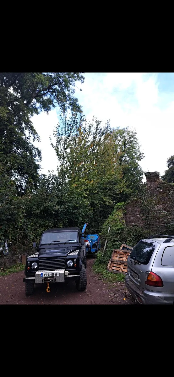 Tree care - Image 3