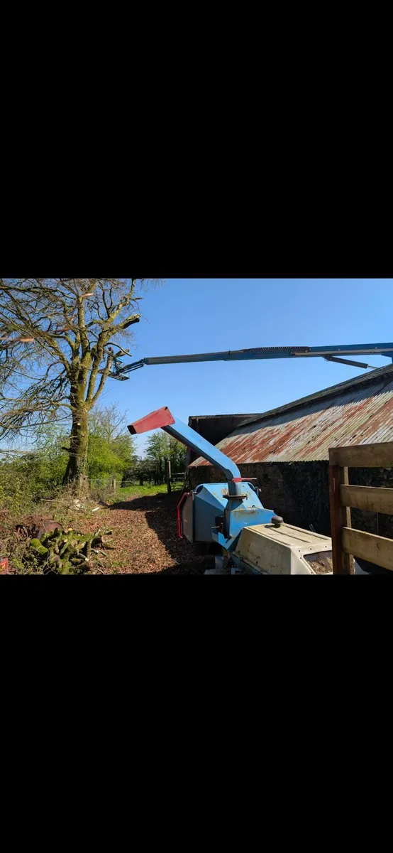 Tree care - Image 4