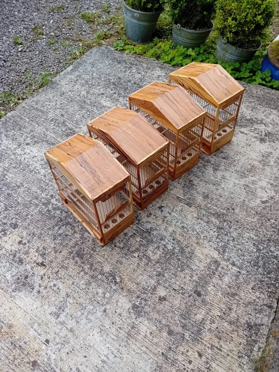 Bird cages - Image 1