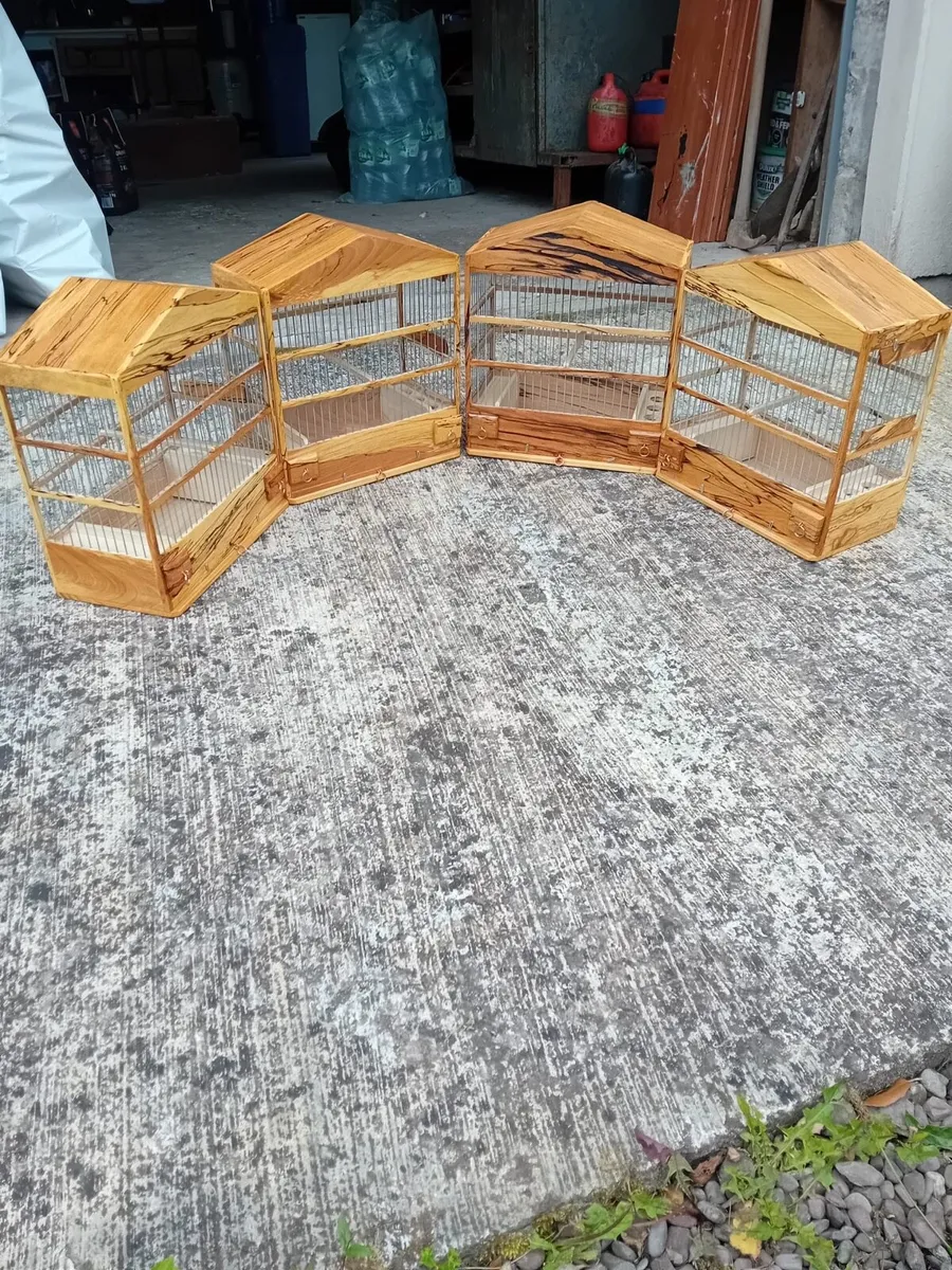 Bird cages - Image 2