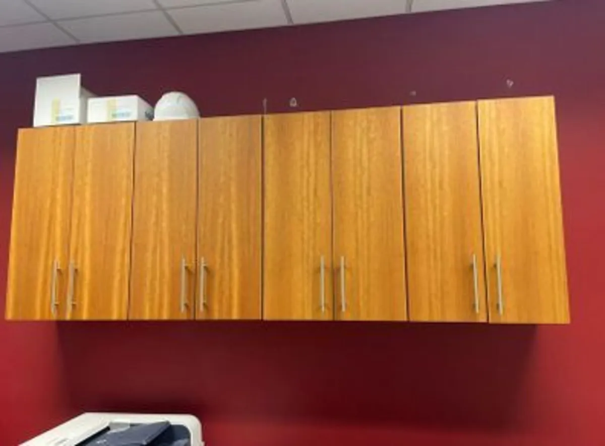 Wall-Mounted Storage Cupboards - MUST SELL