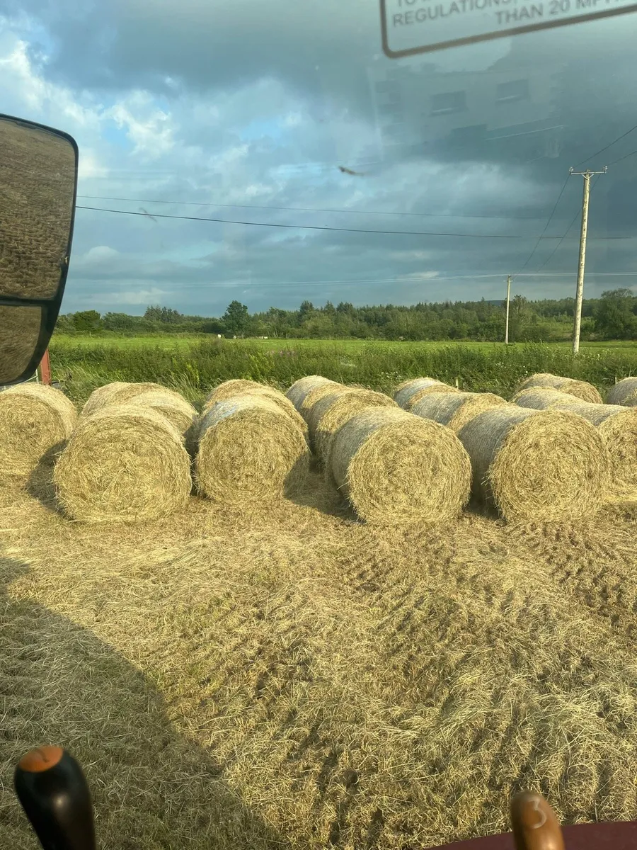 Hay - Image 1