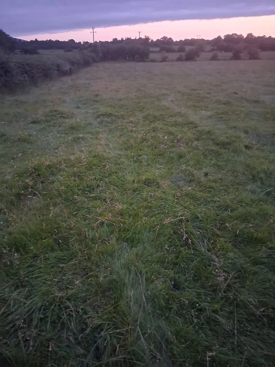 Wanted person to topped  weeds in 10 acres - Image 2