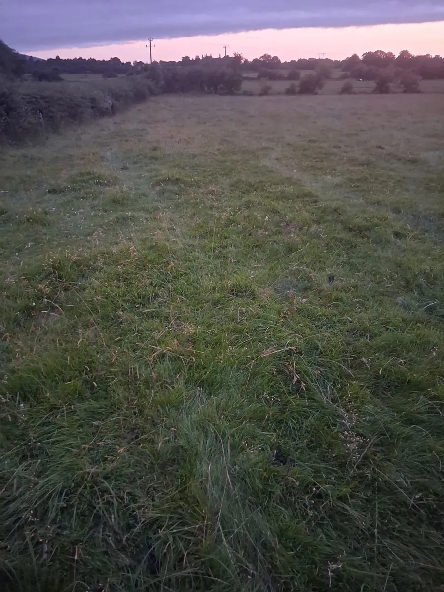 Wanted person to topped  weeds in 10 acres - Image 3