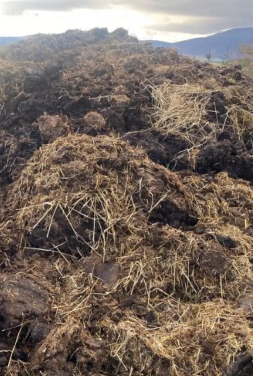 Dung