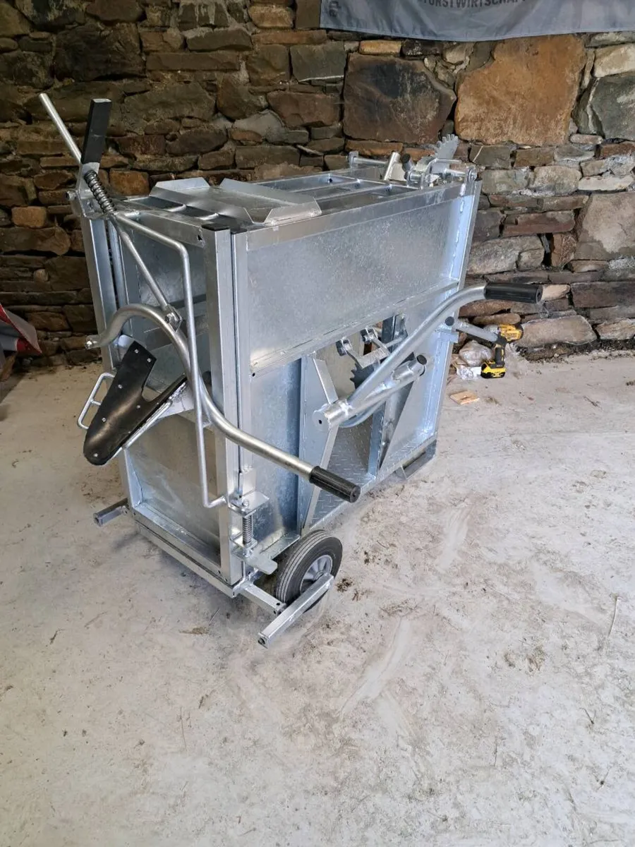 Dehorning Crate Deluxe - Image 1
