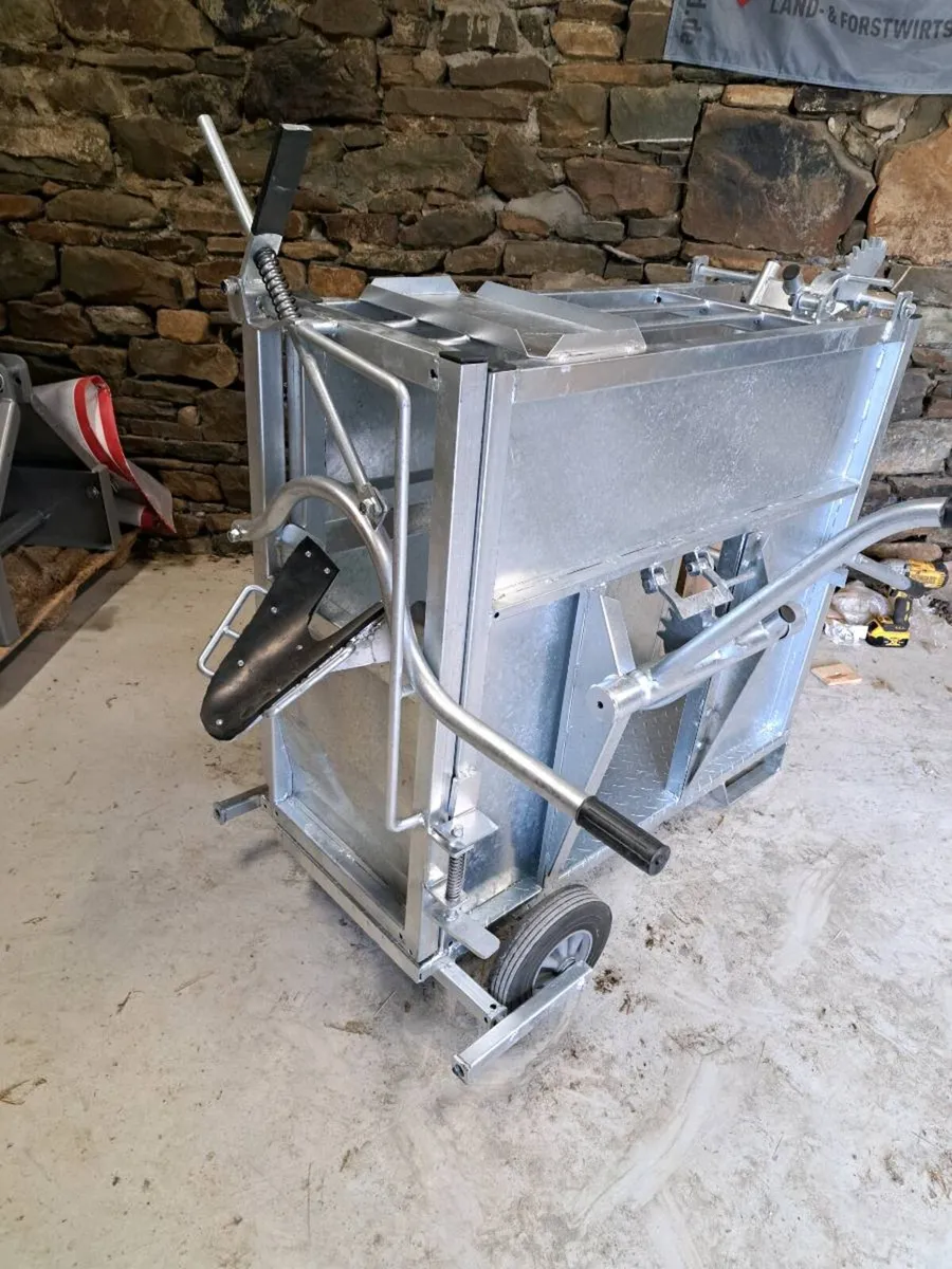 Dehorning Crate Deluxe - Image 3