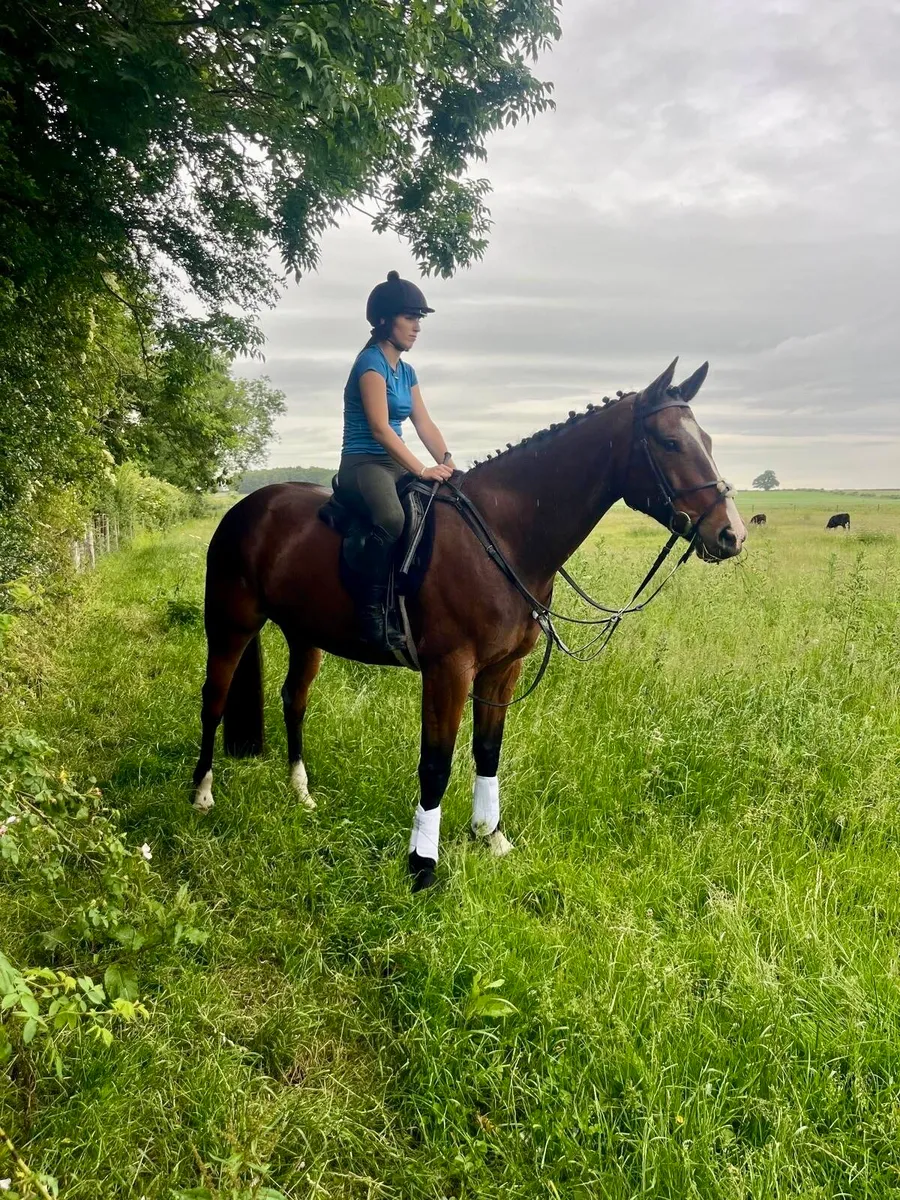6 year old smashing all rounder - Image 2