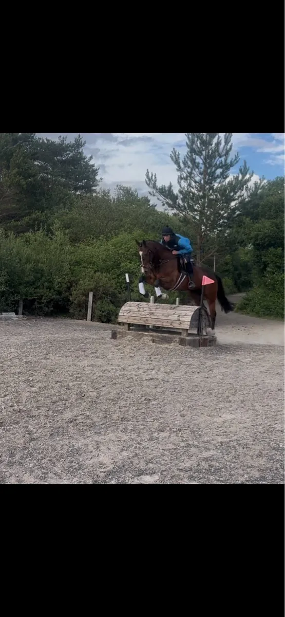 6 year old smashing all rounder - Image 4