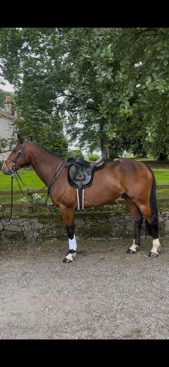 6 year old smashing all rounder - Image 1