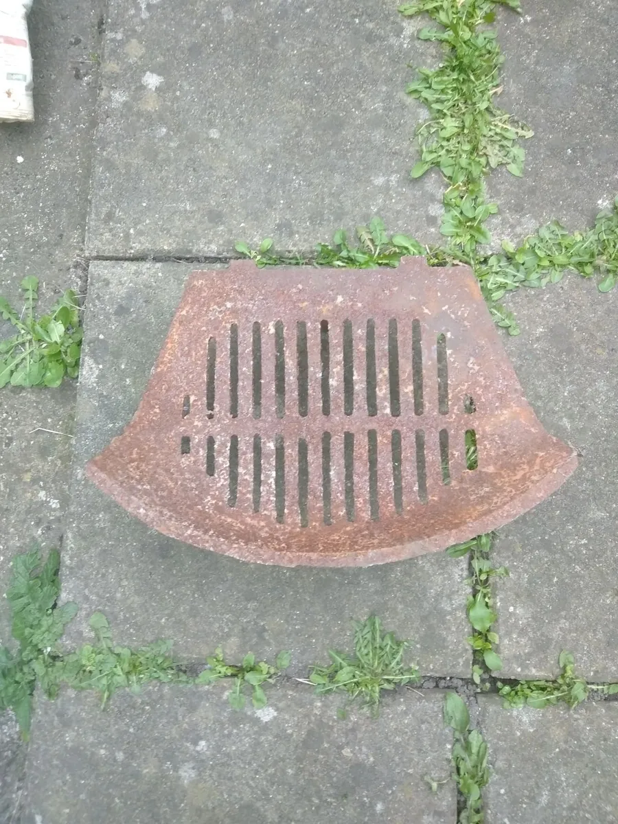 Fire front & Grate - Image 2