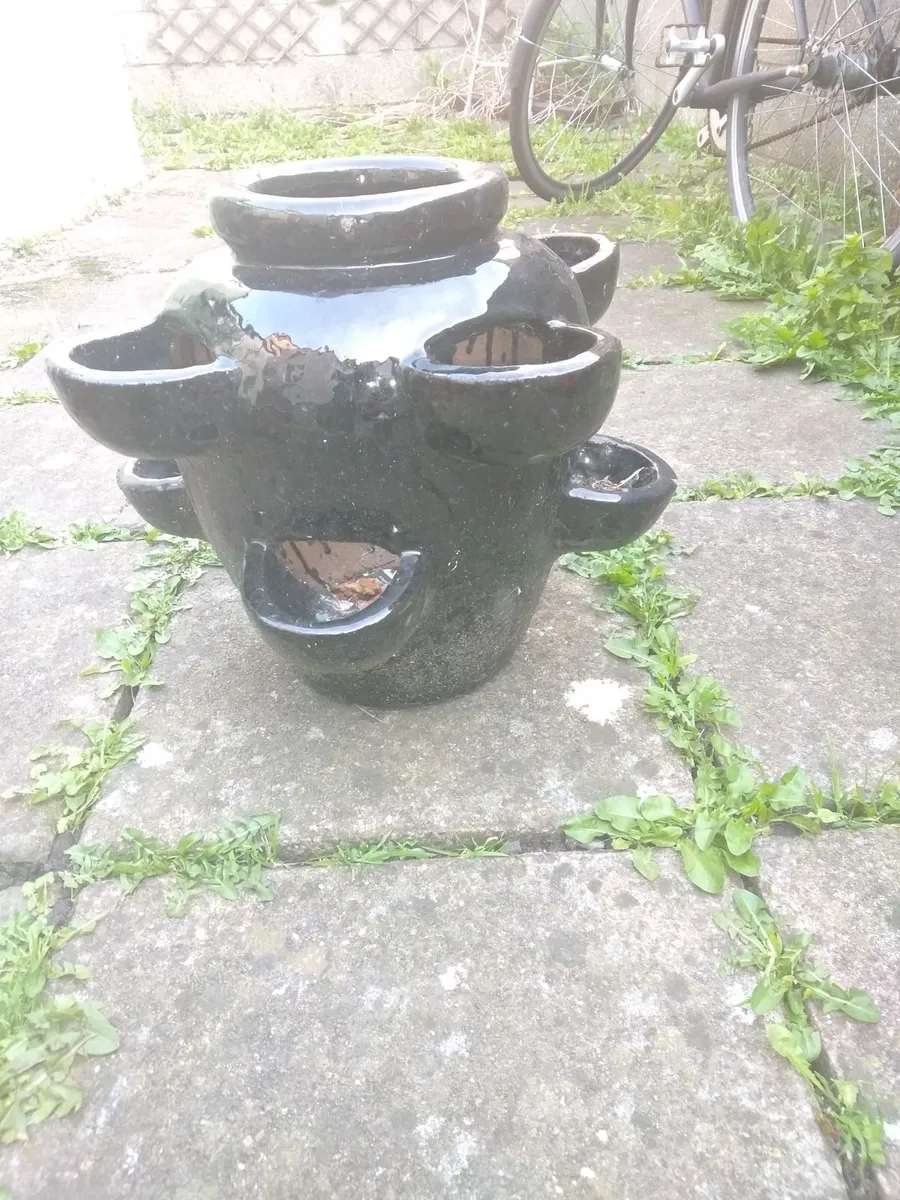 Large Ceramic Herb/Strawberry Pot - Image 4