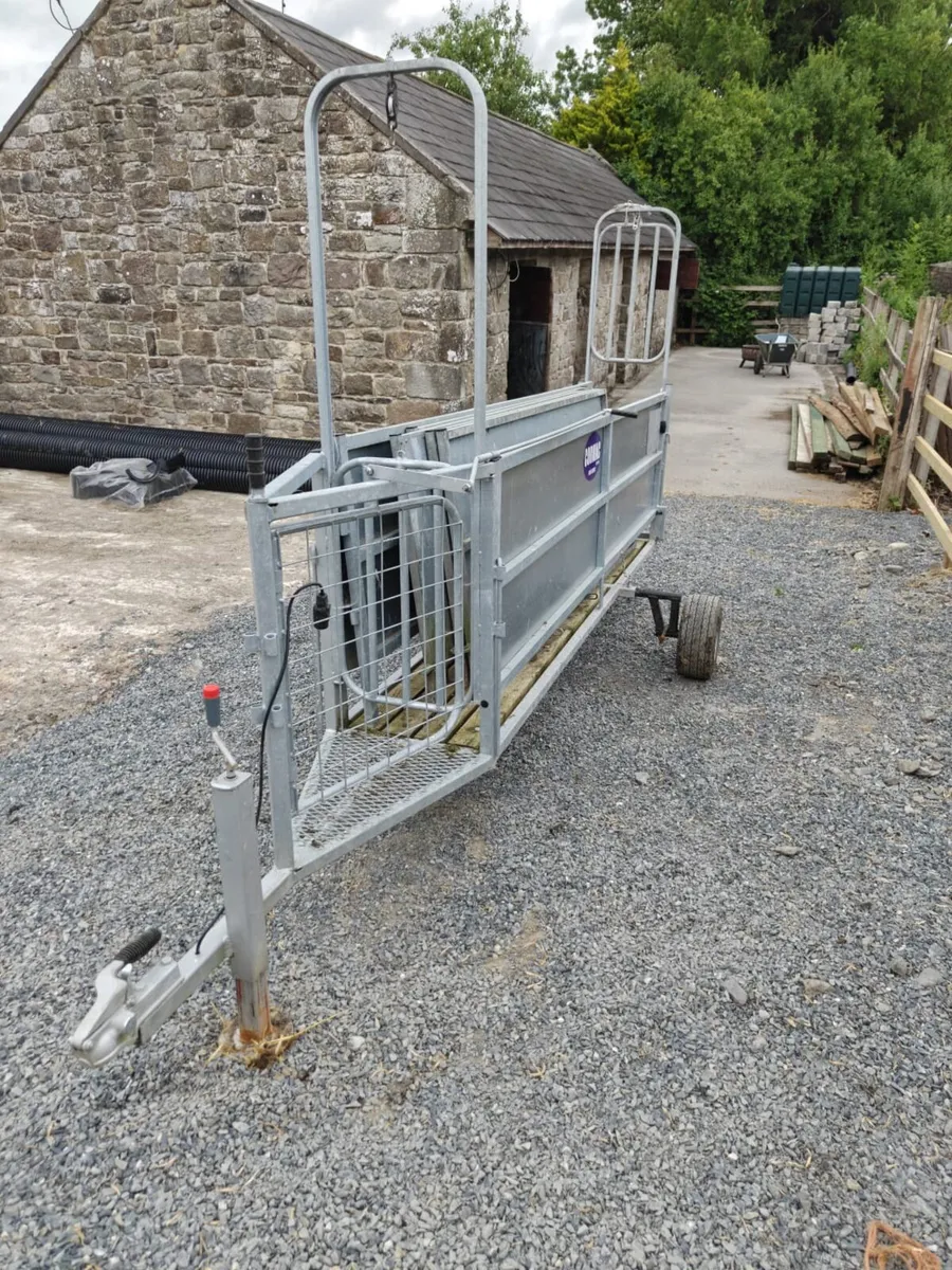 Sheep equipment Auction - Image 1