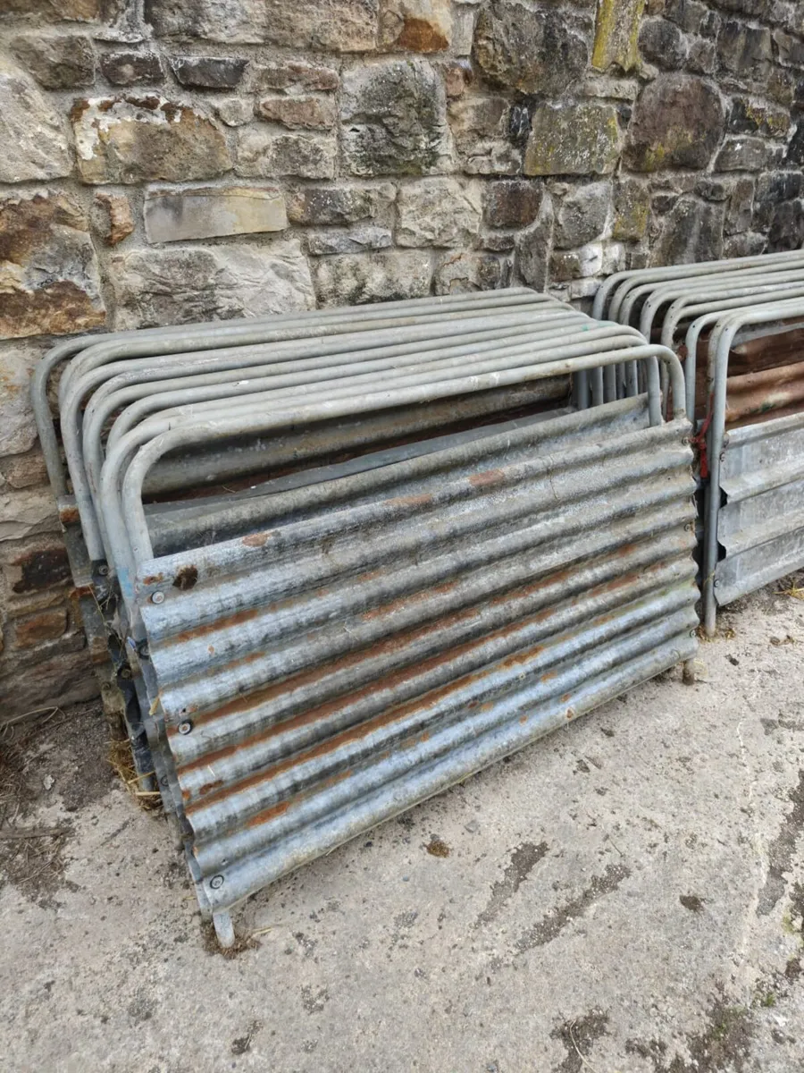 Sheep equipment Auction - Image 2