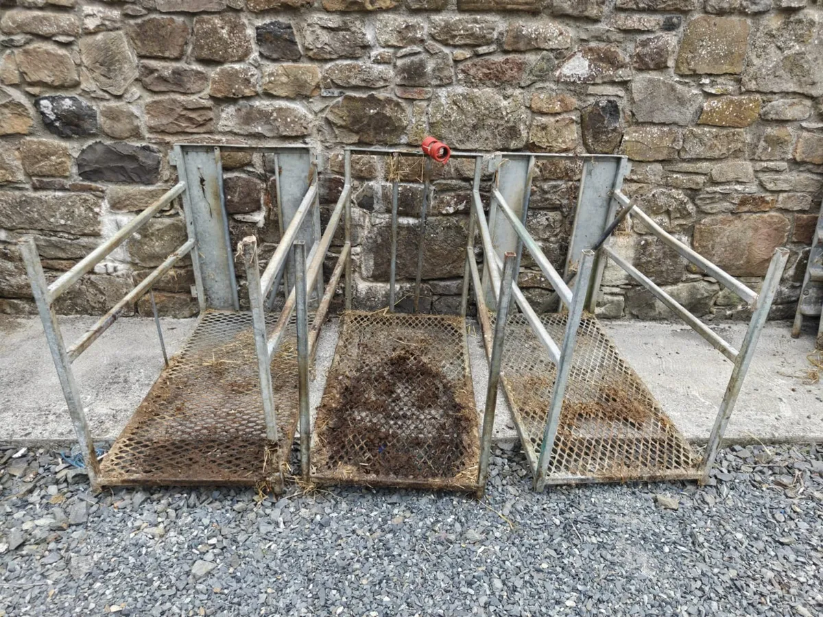 Sheep equipment Auction - Image 3