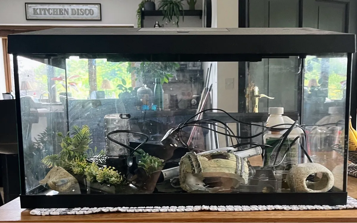 Aquarium - Image 1