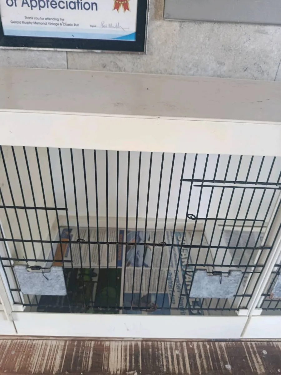 Canary/finch breeding cages - Image 3
