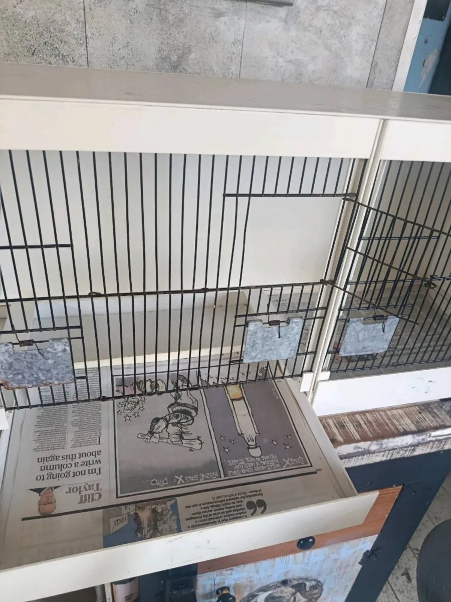 Canary/finch breeding cages - Image 4