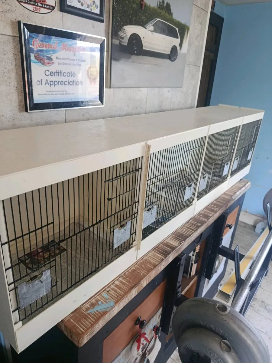 Canary/finch breeding cages - Image 1