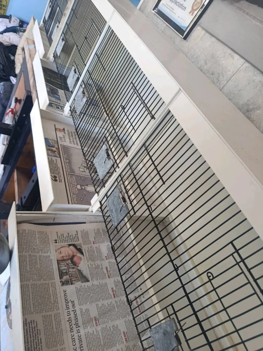 Canary/finch breeding cages - Image 2