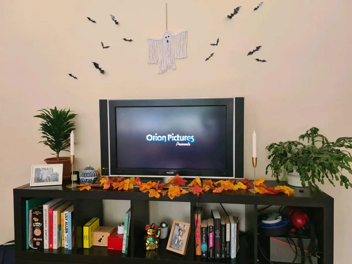Television