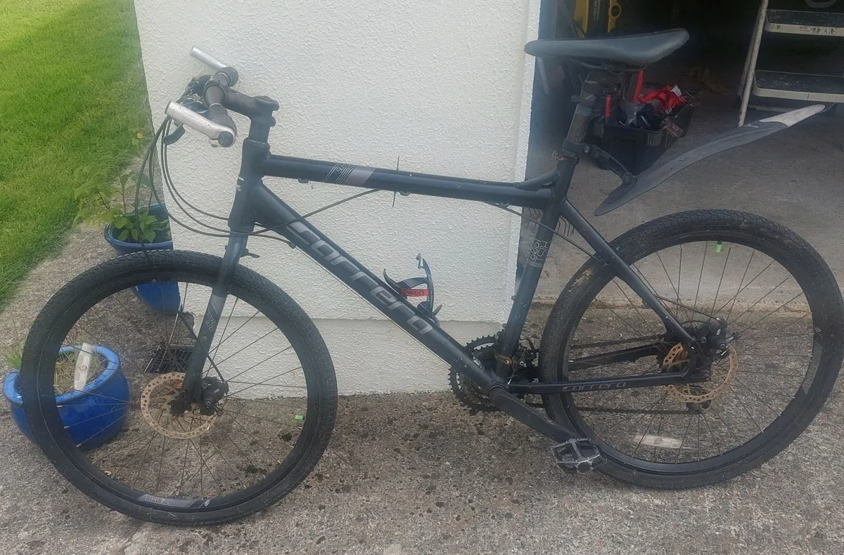 Carrera mens mountain bike
