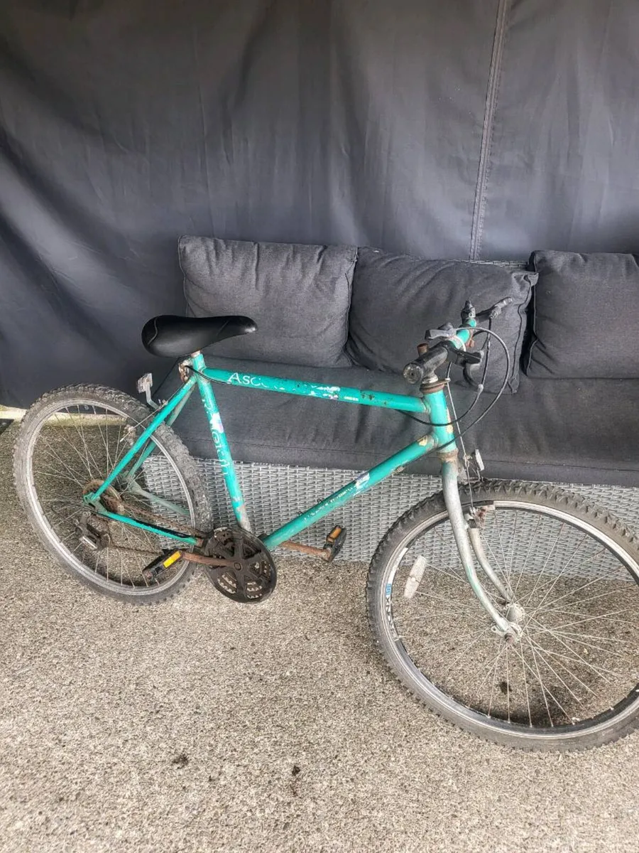 Vintage Raleigh Ascender mens mountain bike - Image 1