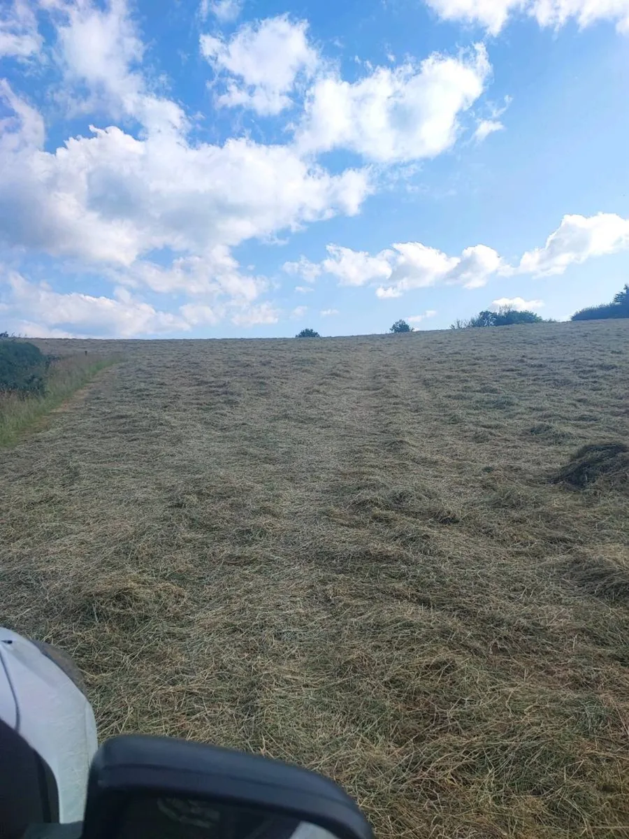 Hay for sale - Image 1
