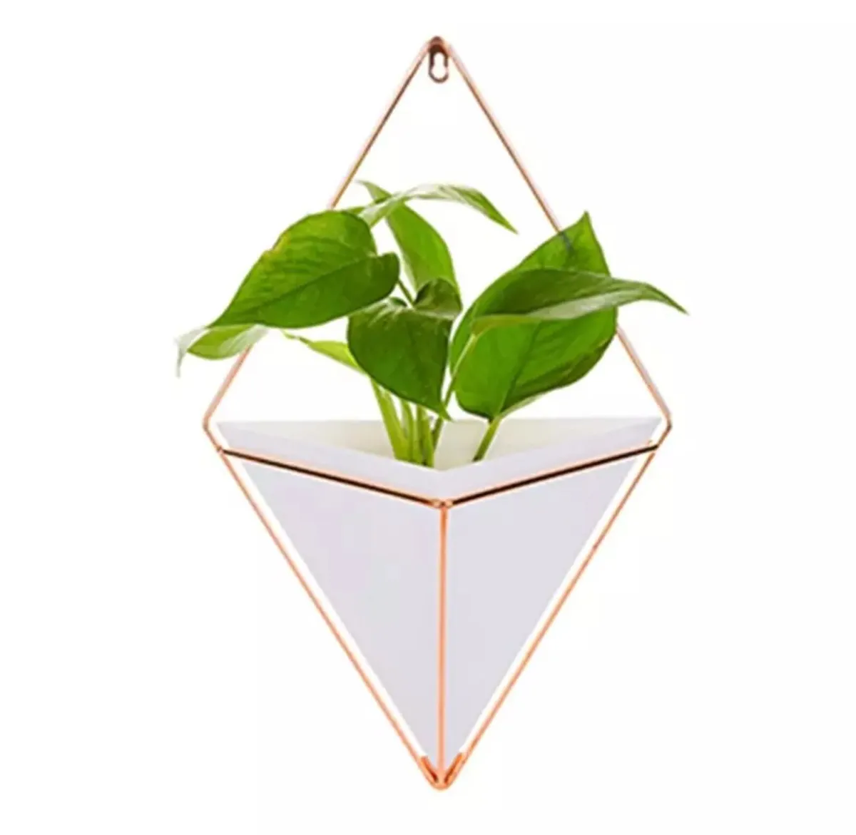 Flower Pot Storage - Image 1