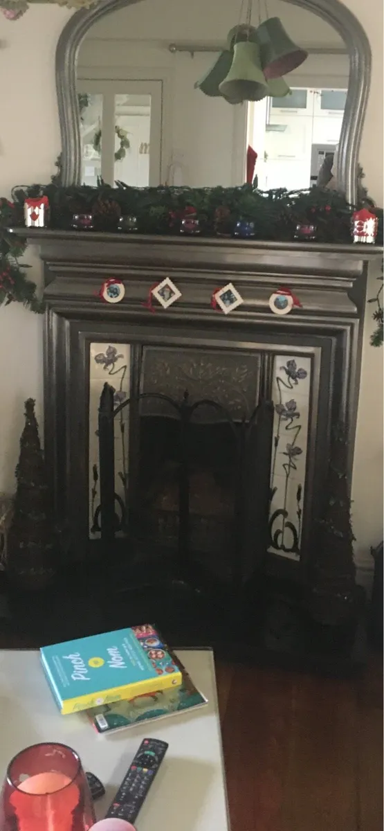 Polished steel fireplace - Image 1