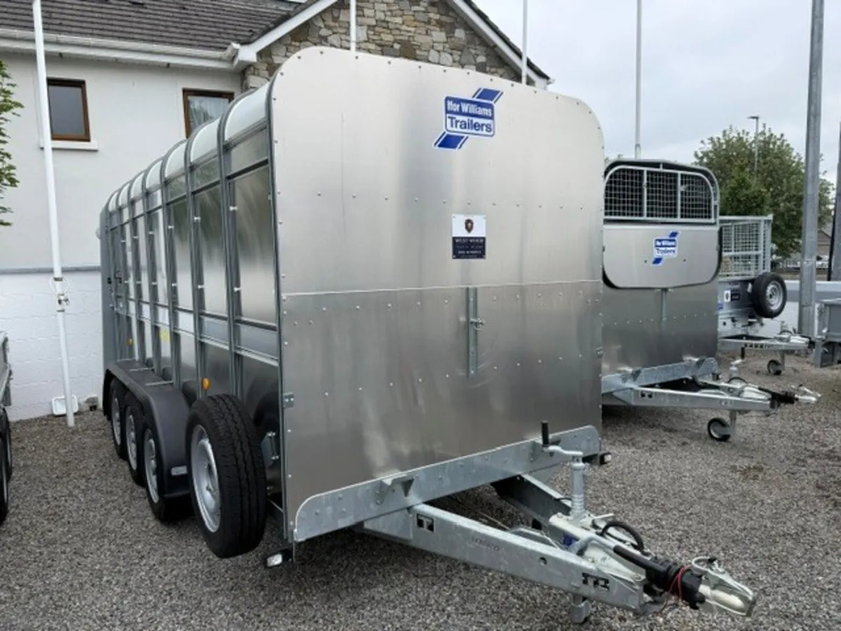 T3040571 Special Offer Ta510 14' x 5'10 Ifor xxx - Image 2