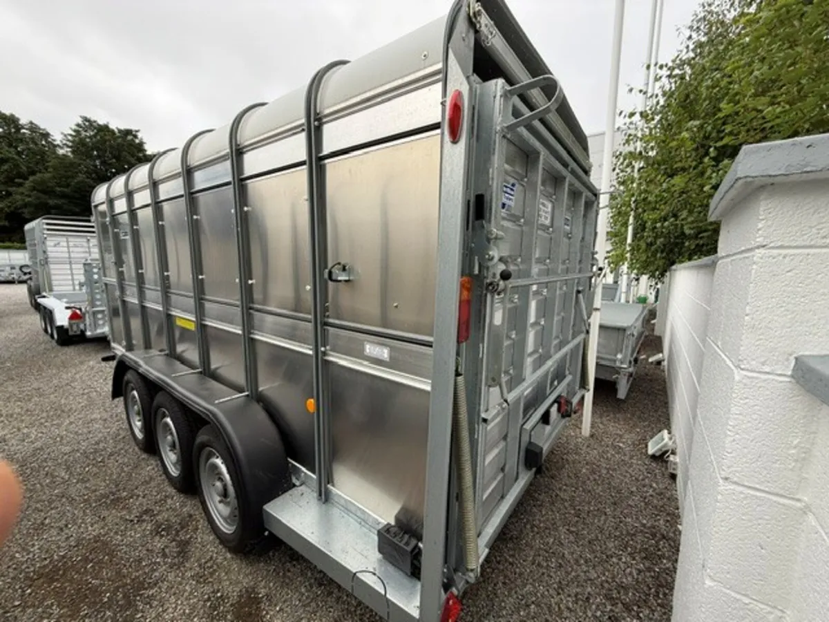 T3040571 Special Offer Ta510 14' x 5'10 Ifor xxx - Image 3