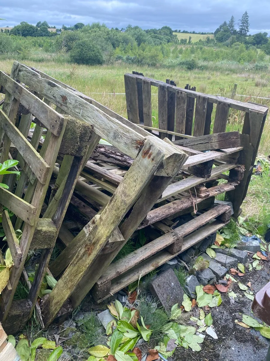 Old pallets. Free