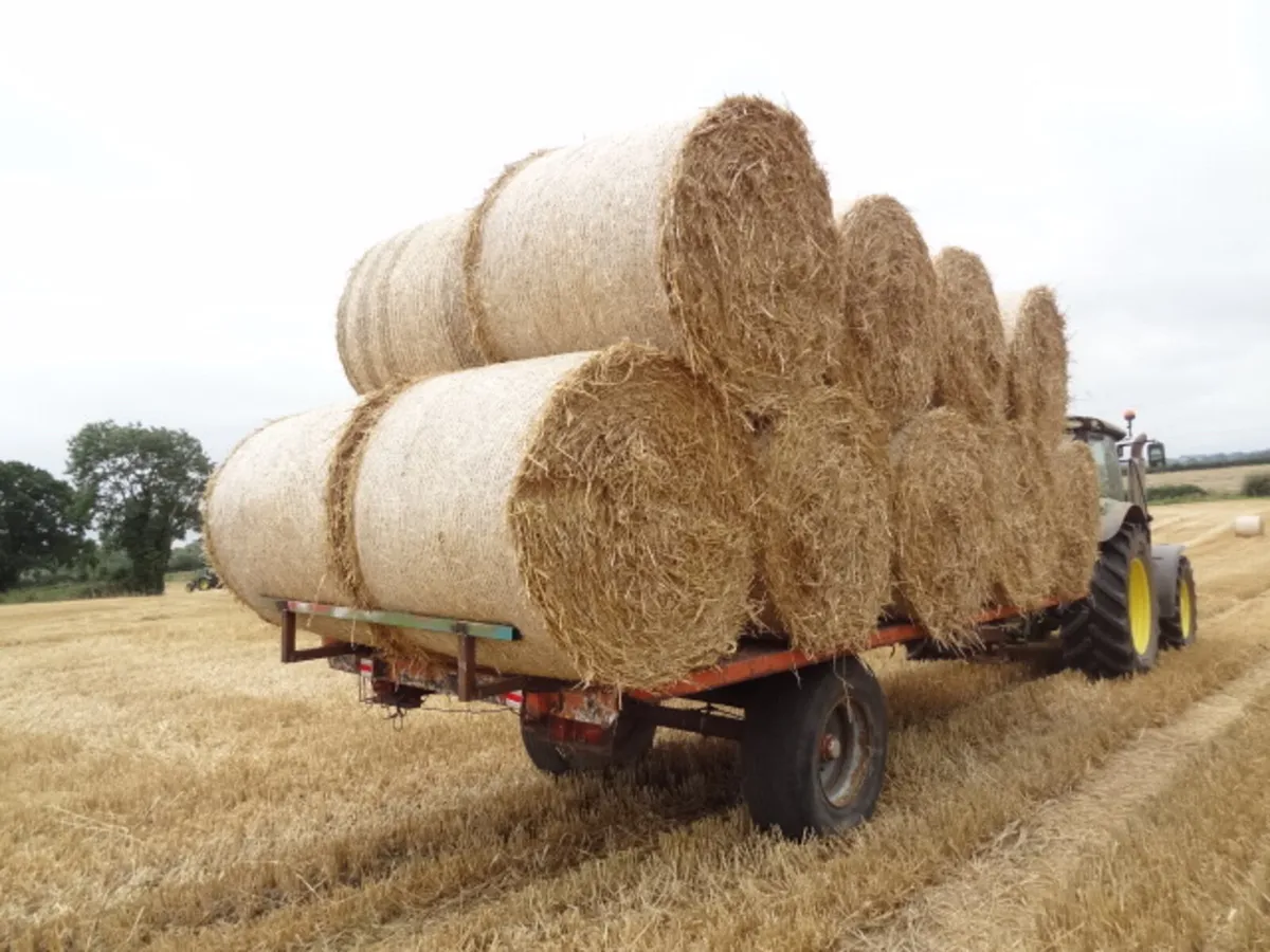 20FT Flat Bale Trailer - Image 2