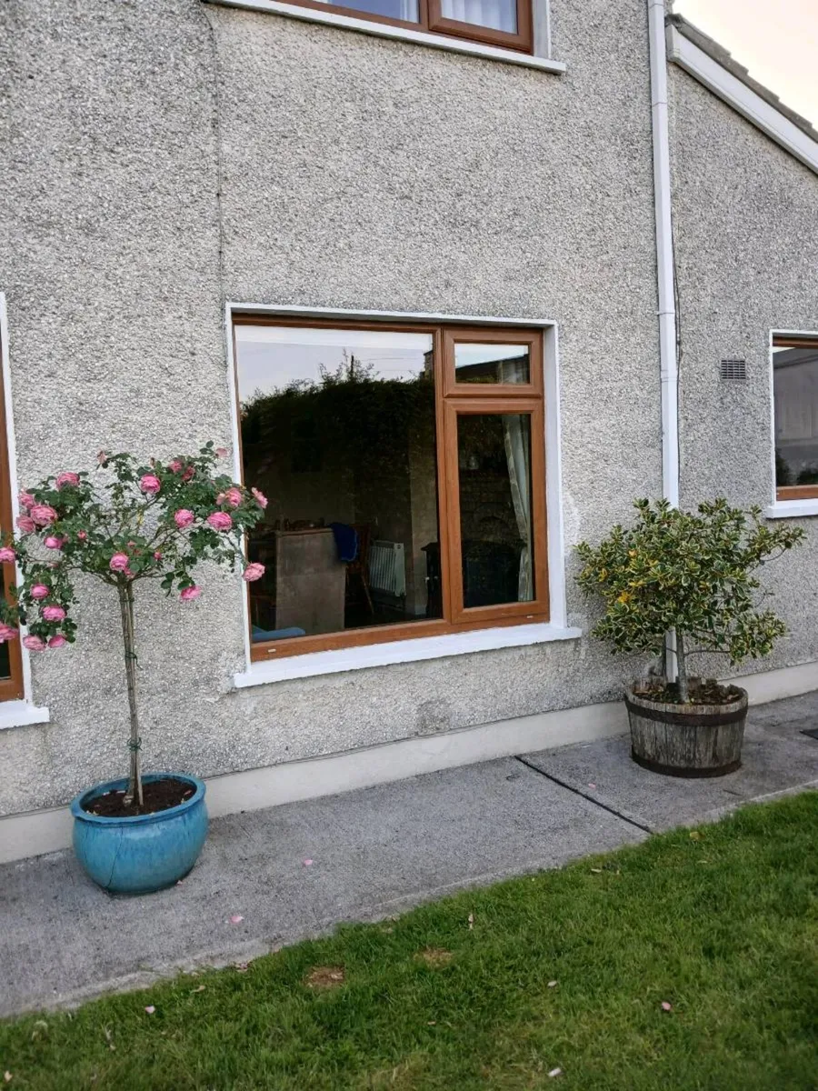 Window - Image 1