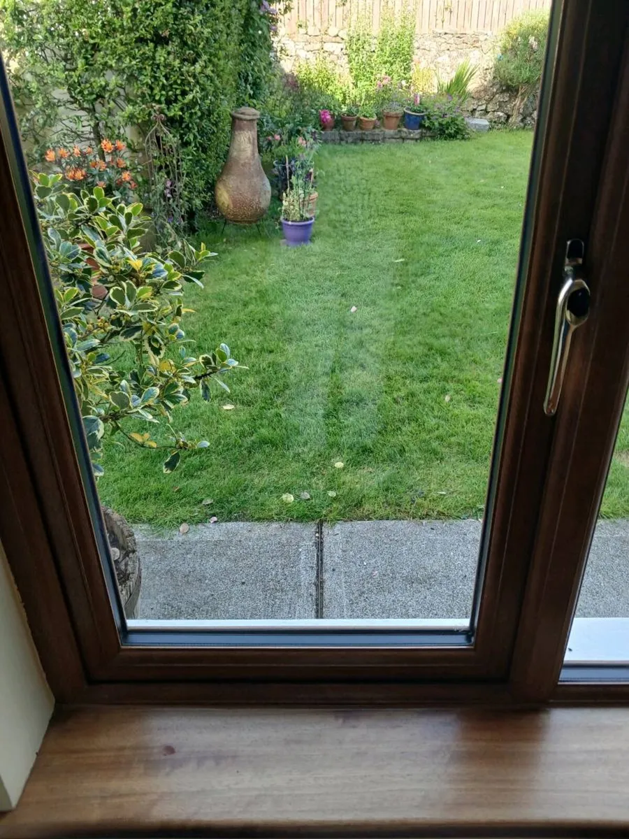Window - Image 2