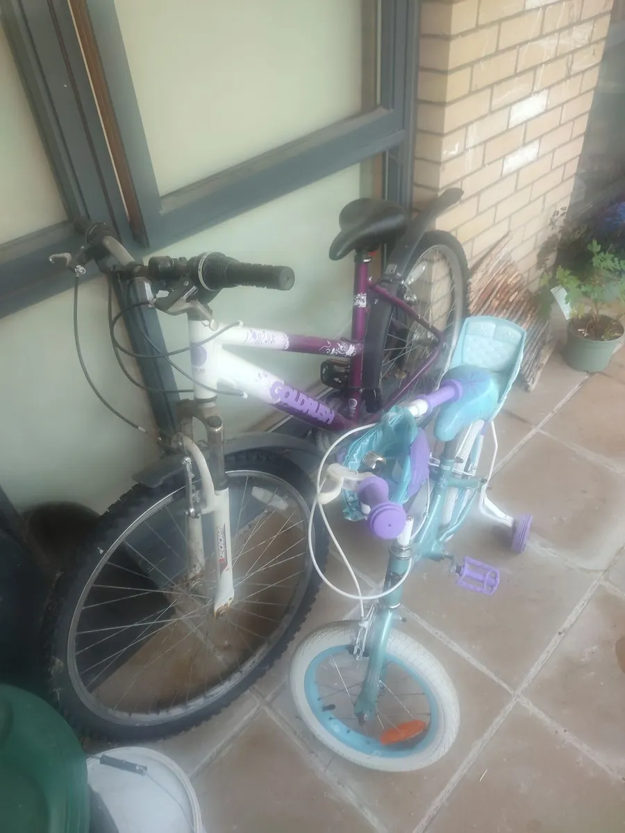 Two bikes - Image 2