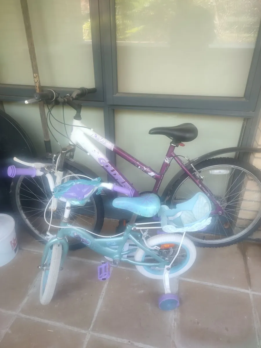 Two bikes - Image 1
