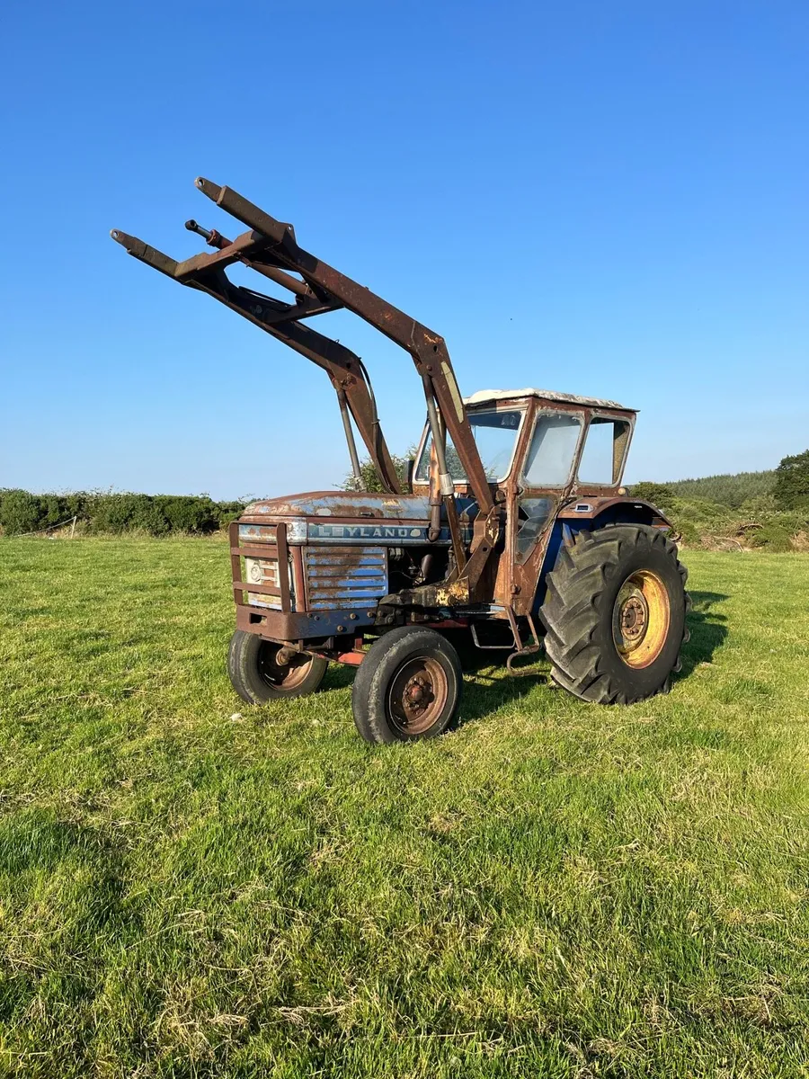 Leyland - Image 1