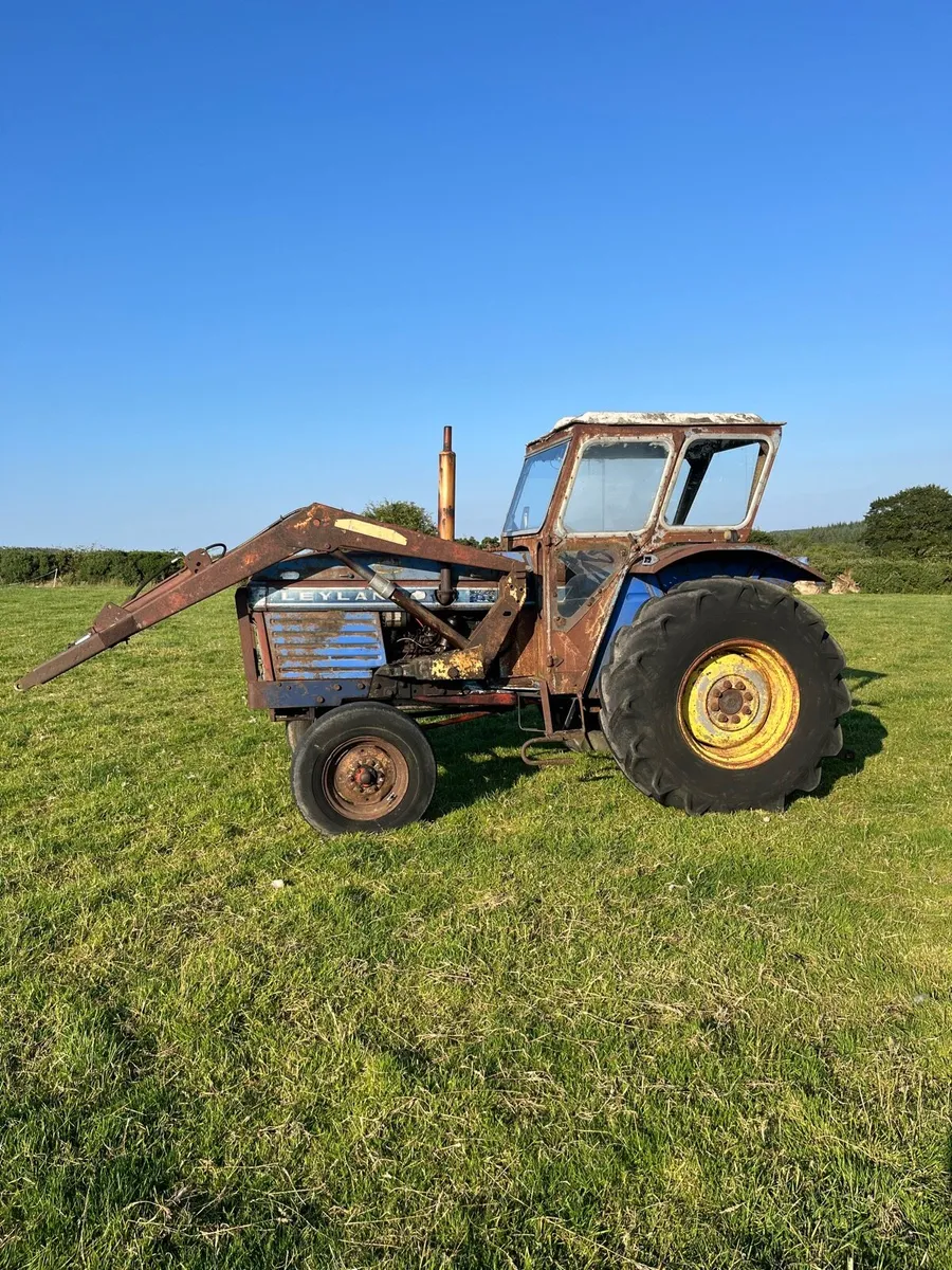 Leyland - Image 4