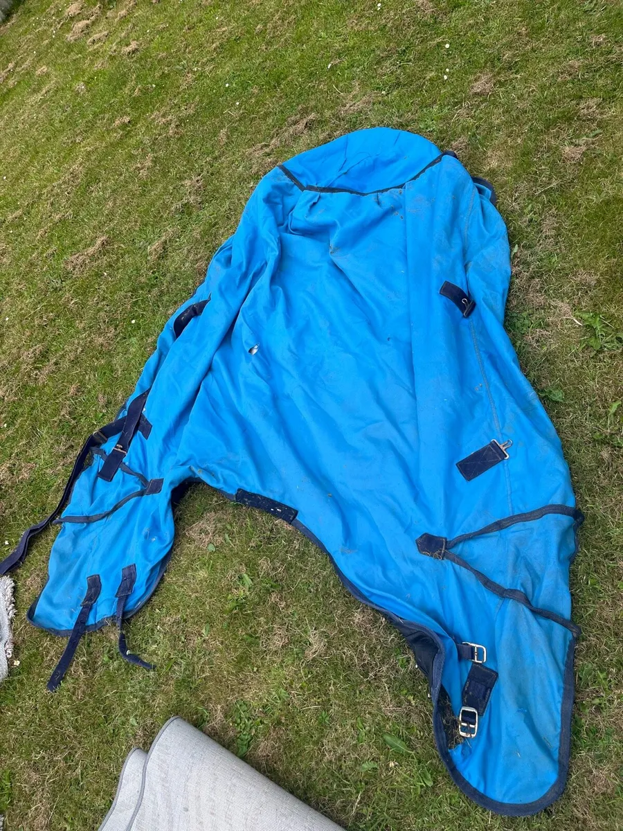 Horse blanket