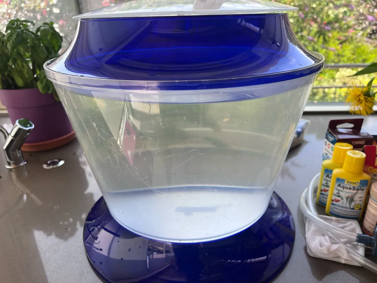 17L Goldfish tank and accessories - Image 1
