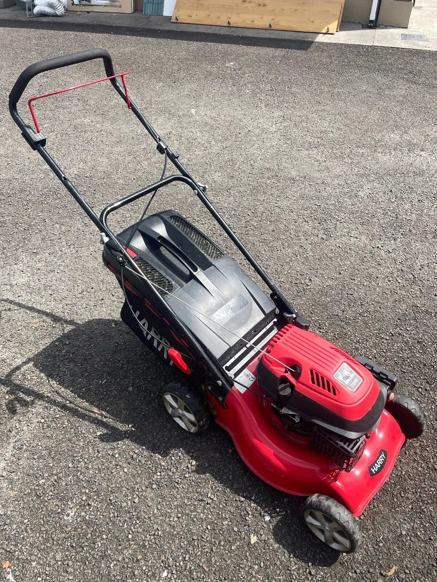 Harry Petrol Lawn Mower - Image 1