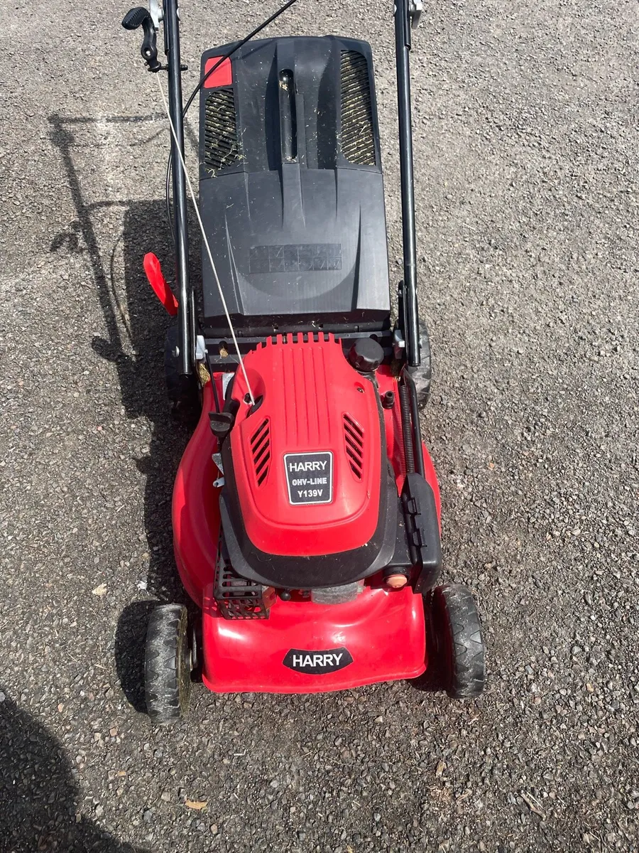 Harry Petrol Lawn Mower - Image 2