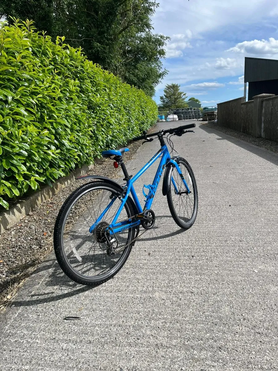 Giant Bike - Image 3