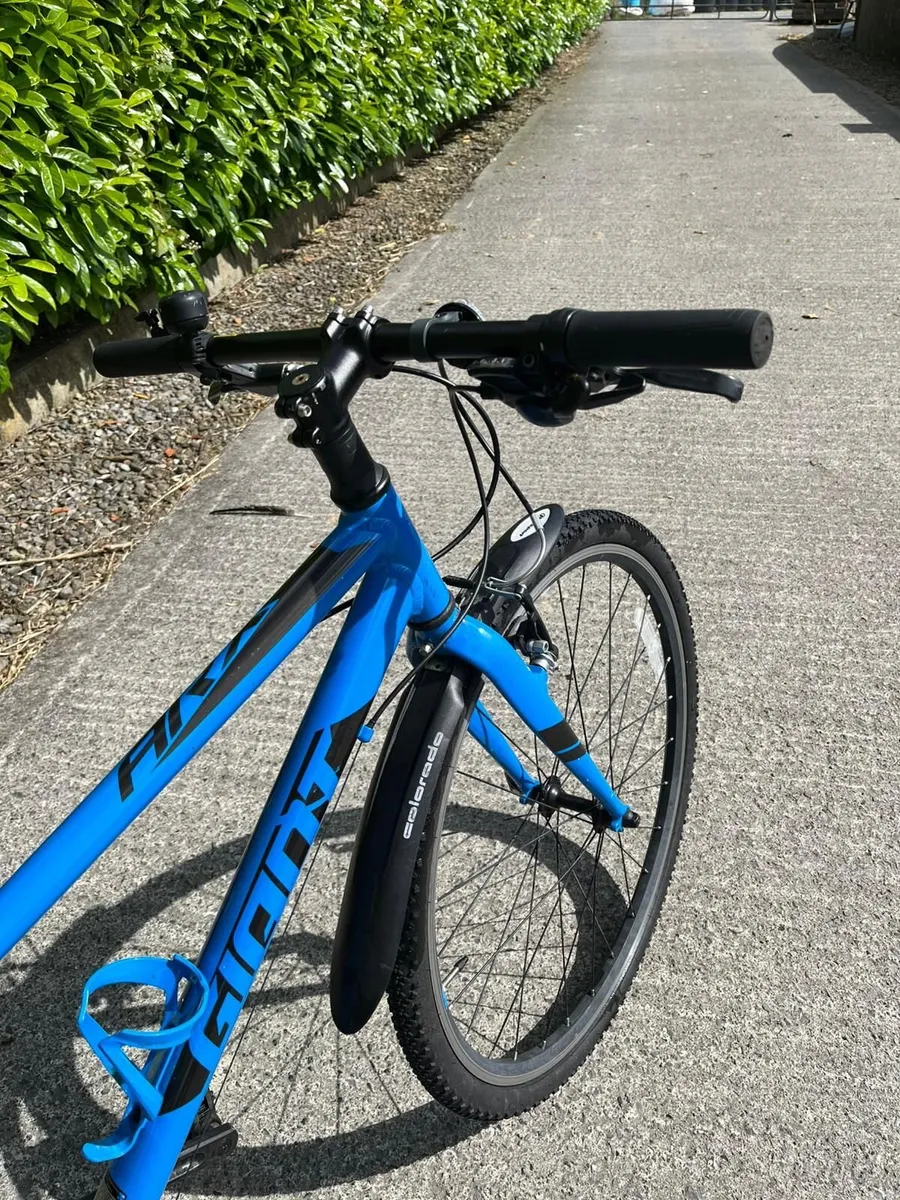 Giant Bike - Image 4