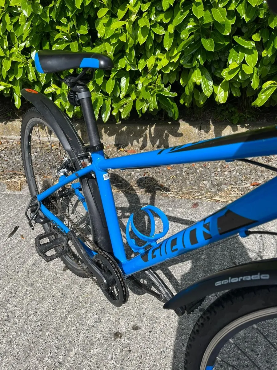 Giant Bike - Image 2