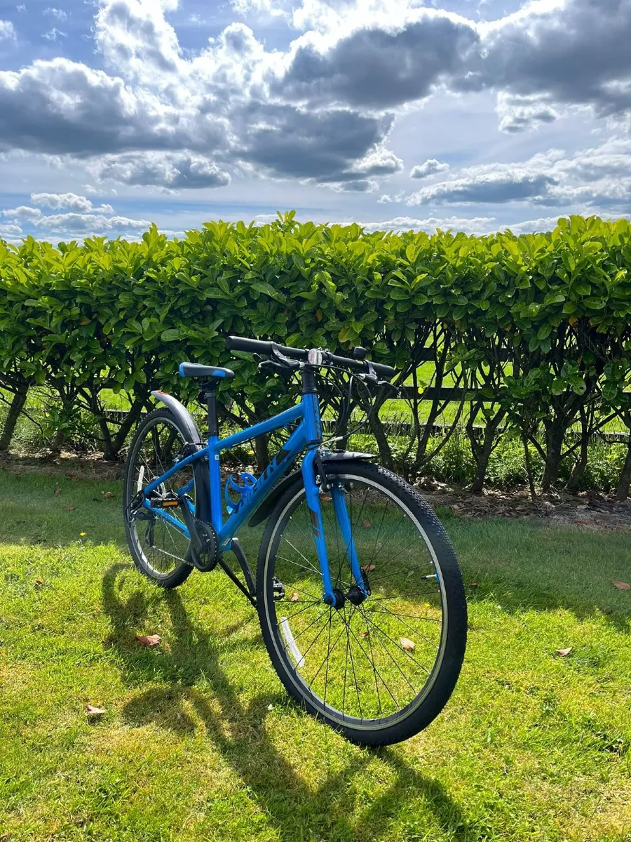 Giant Bike - Image 1