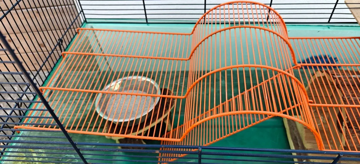 Gerbil/Hamster cage - Image 2
