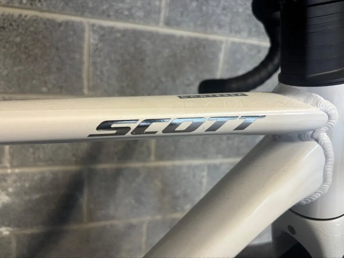 Adult Bike - Image 2